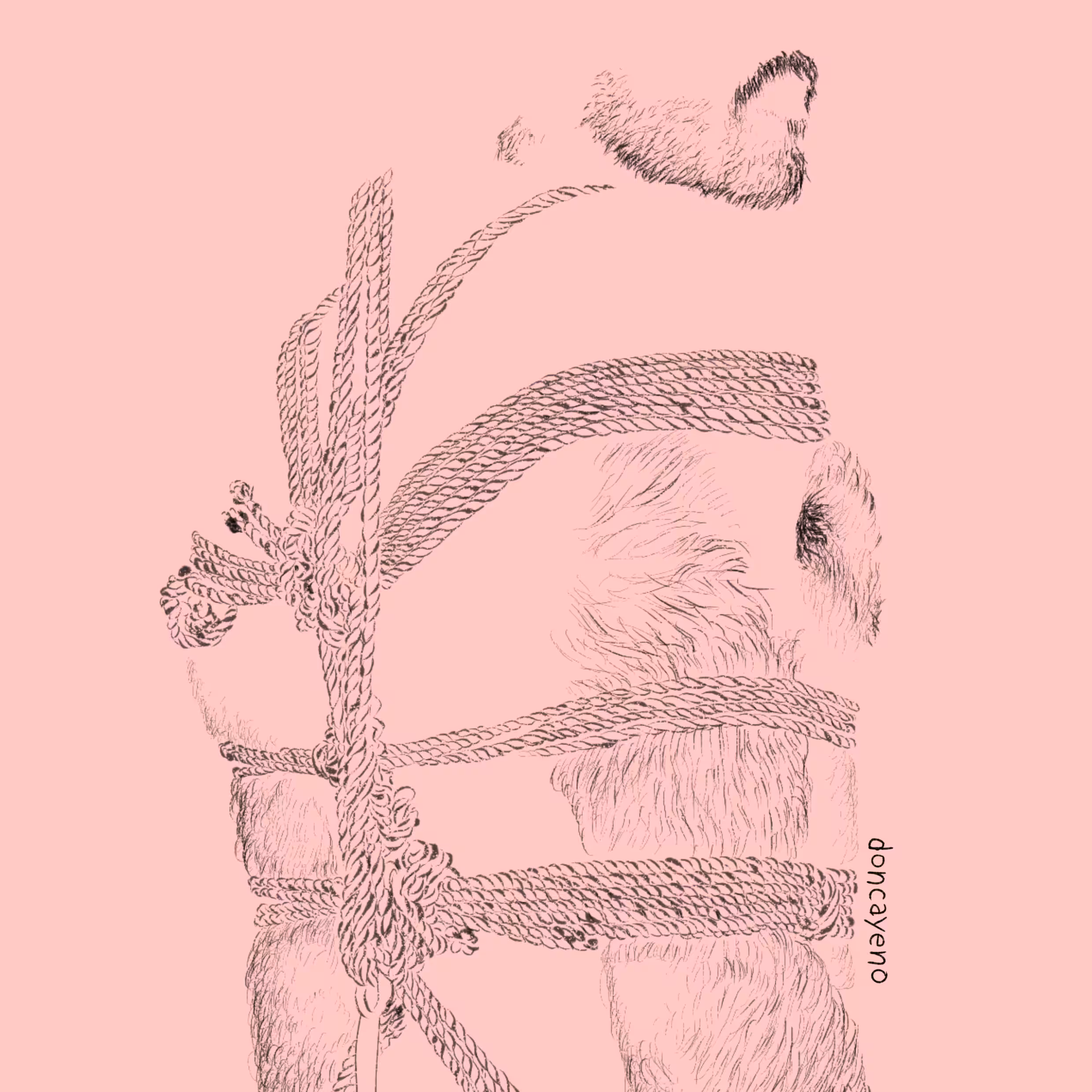 Shibari Beast