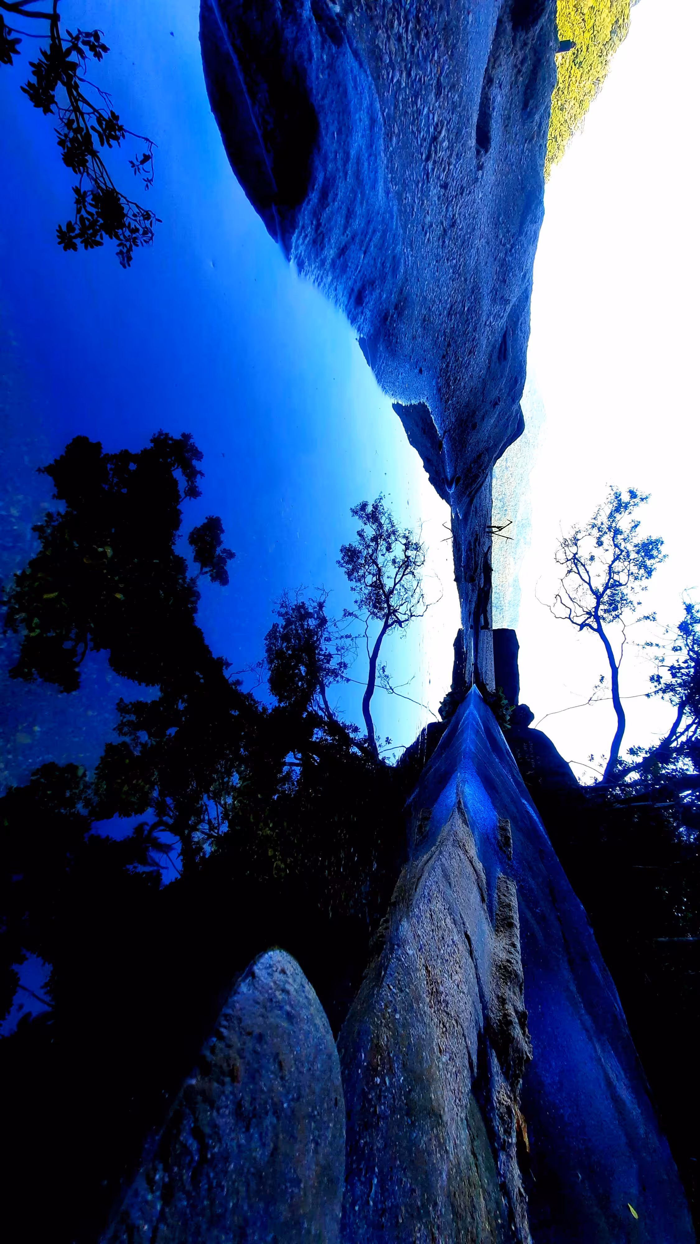 Distorted-Nature#2