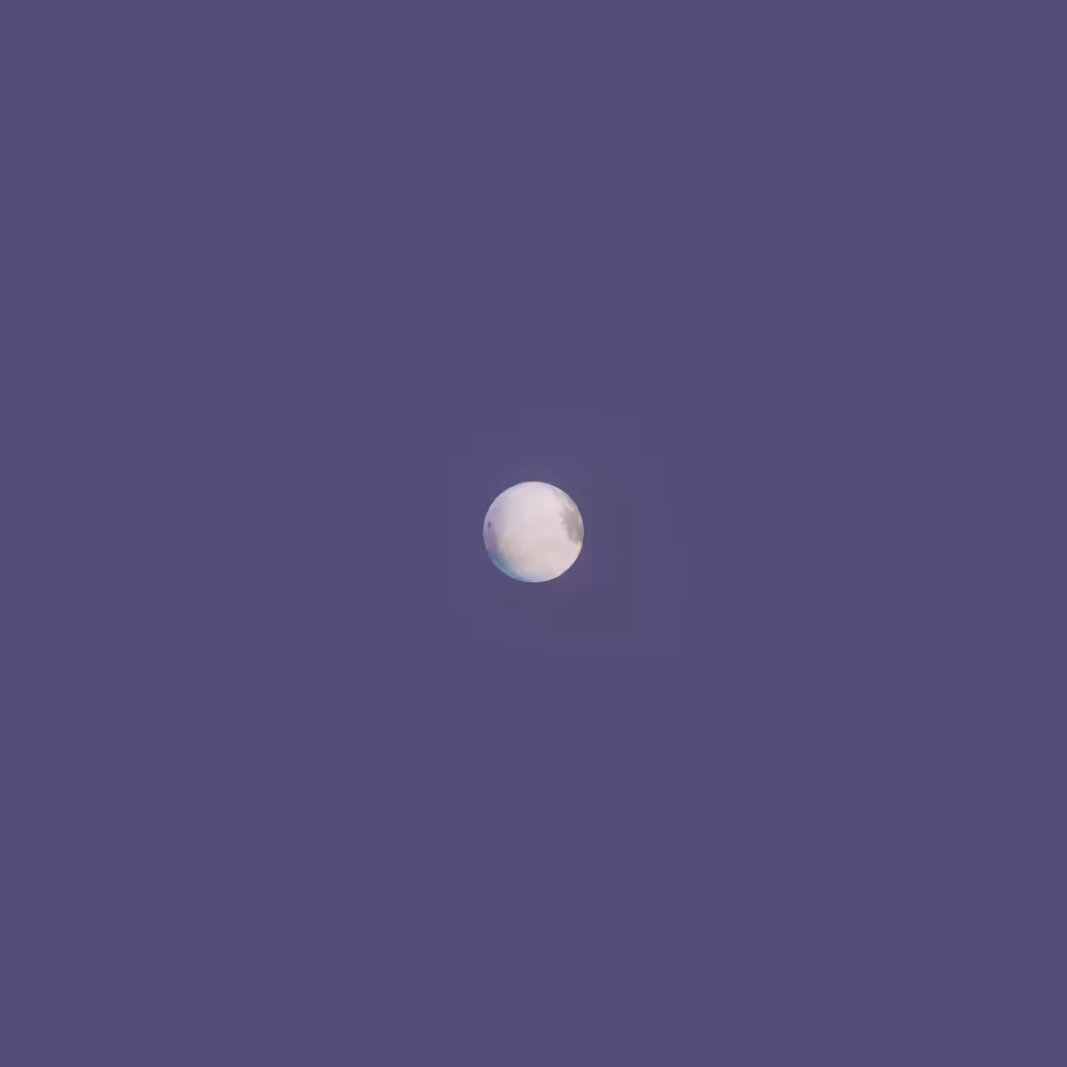 Flower Moon