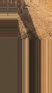glitch