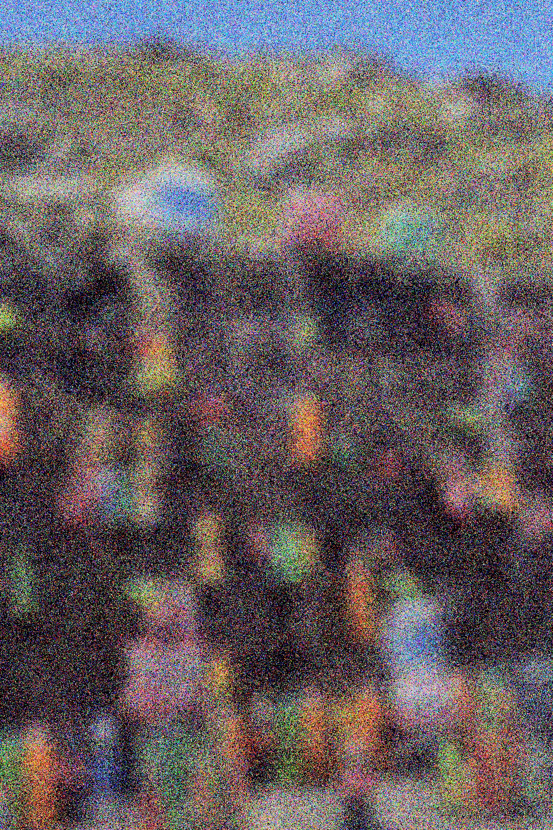 BOTTLES