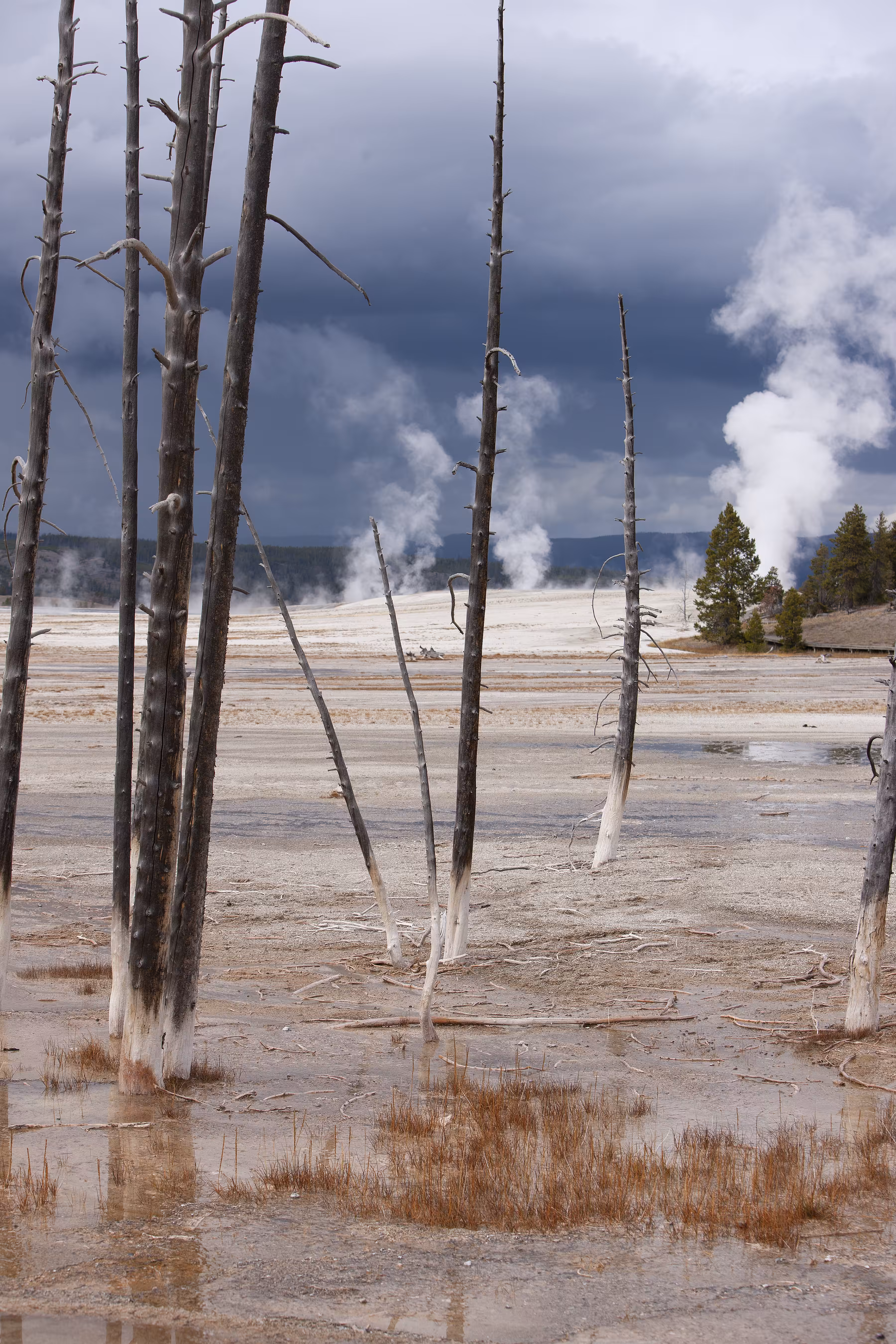 Yellowstone Storm