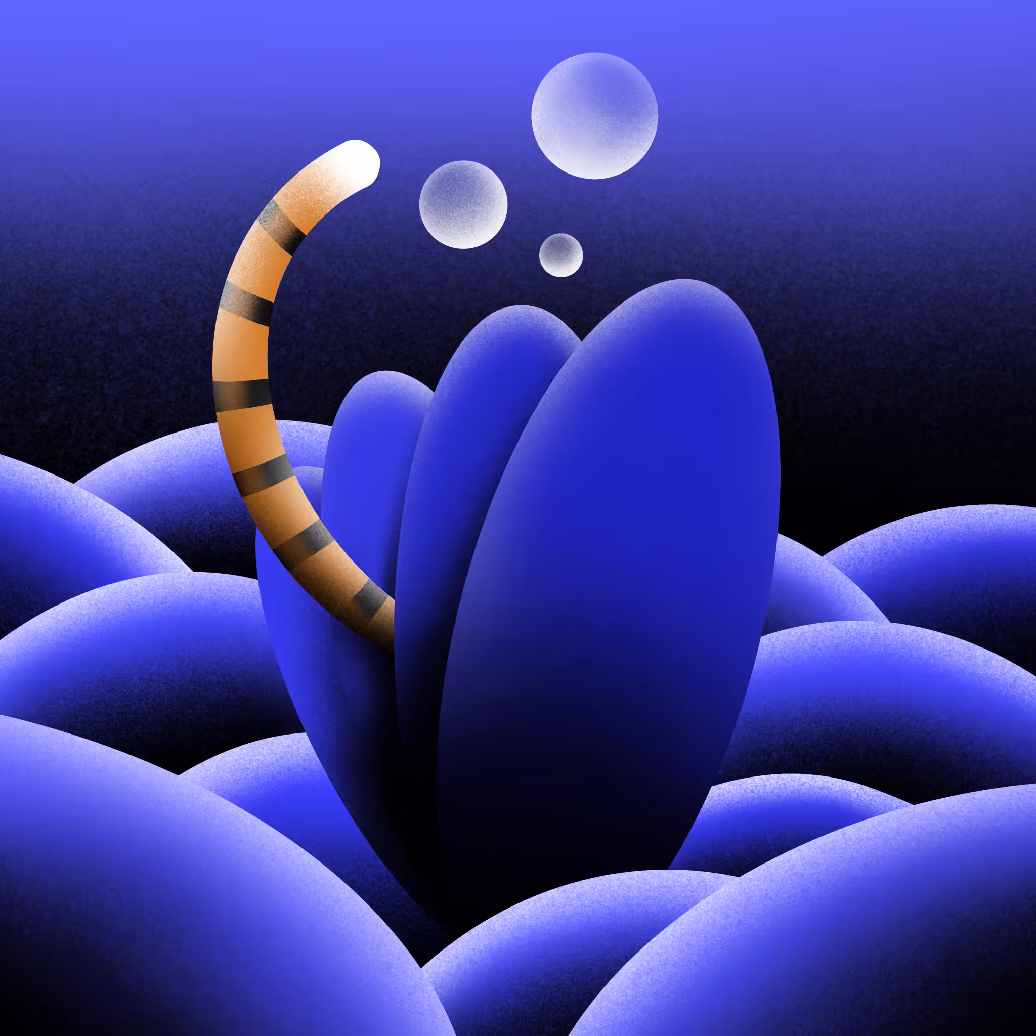 under the sea