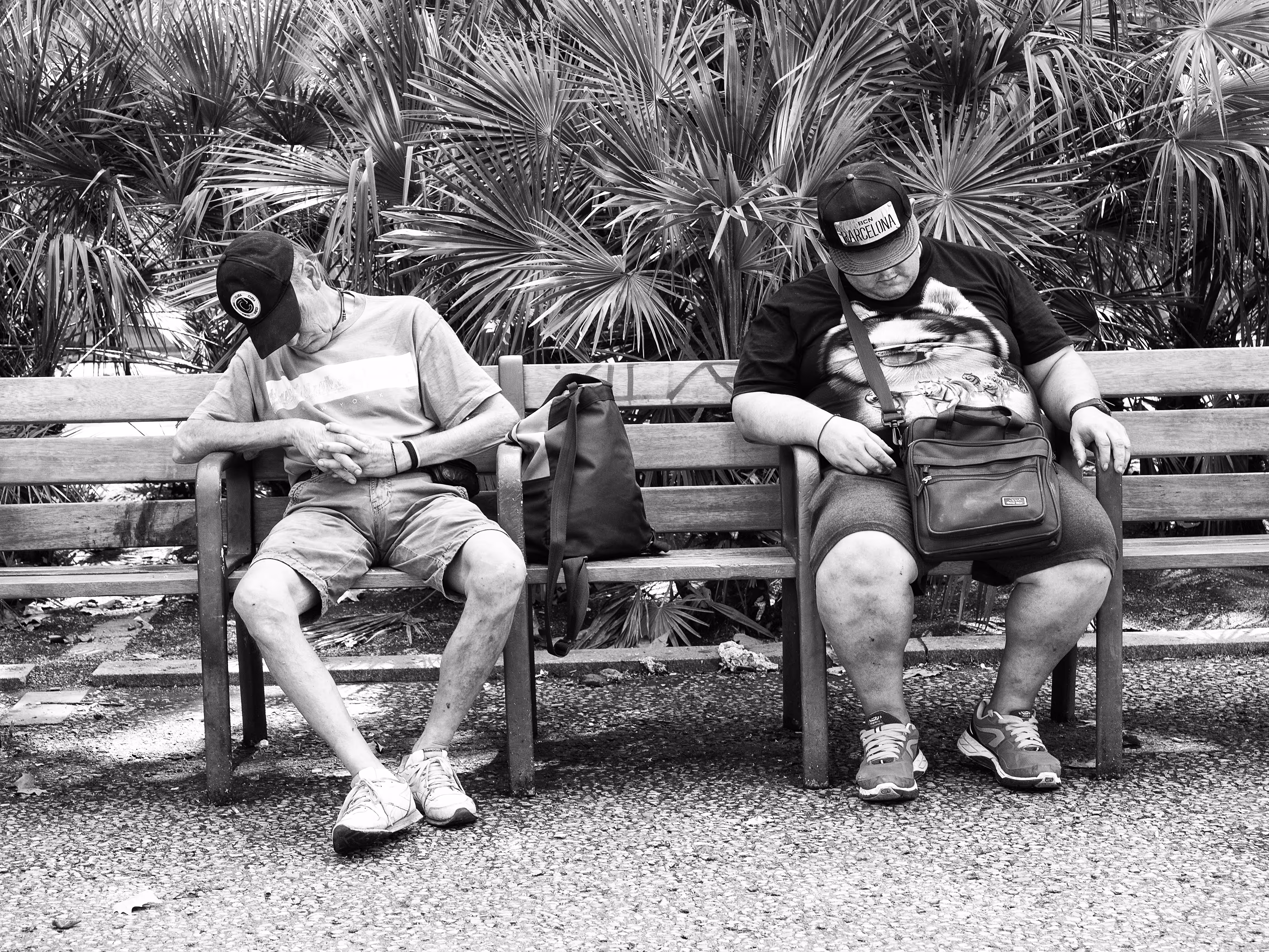 Afternoon nap