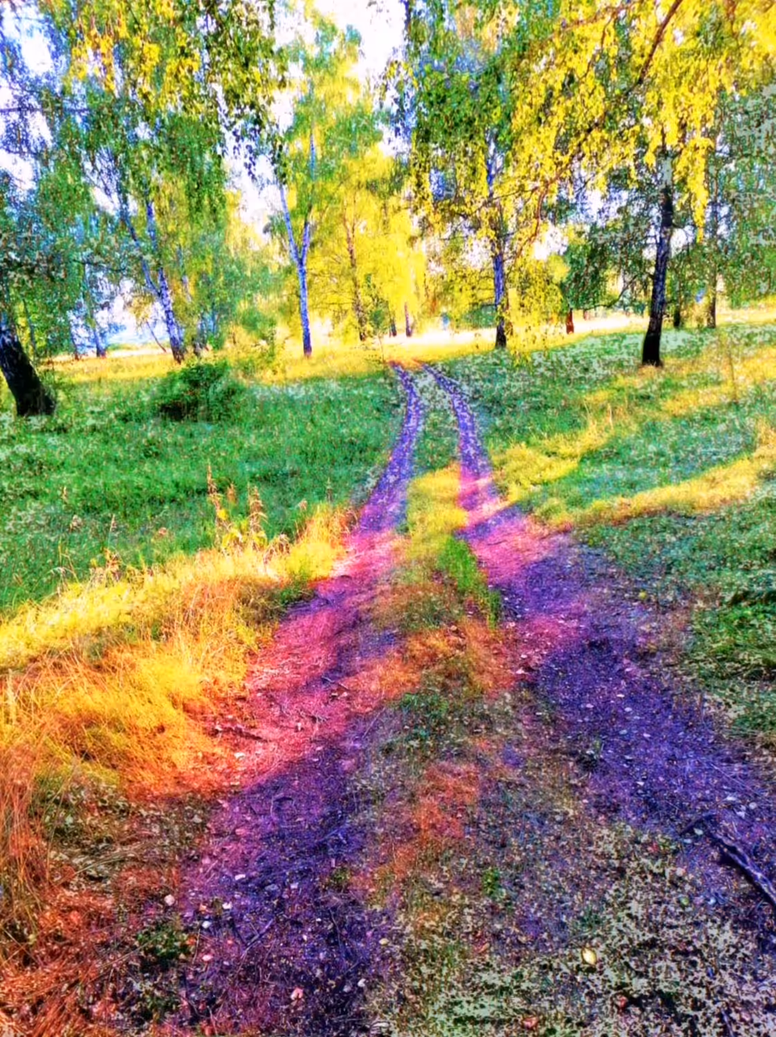 Summer rain
