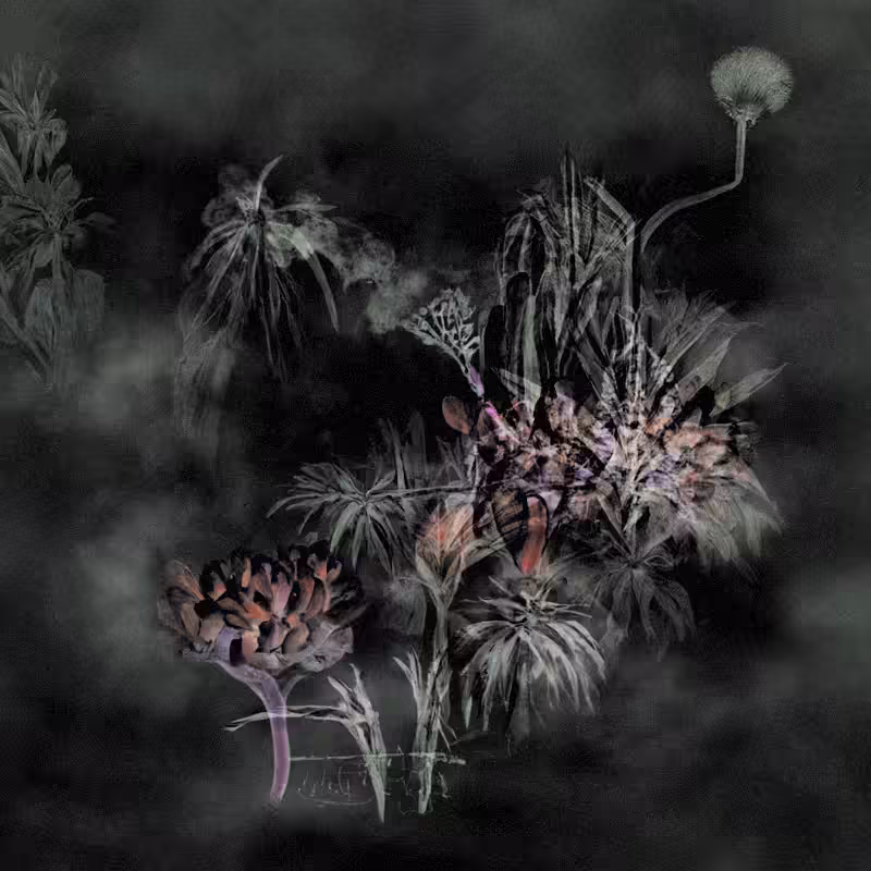 Hauntological Herbarium #39