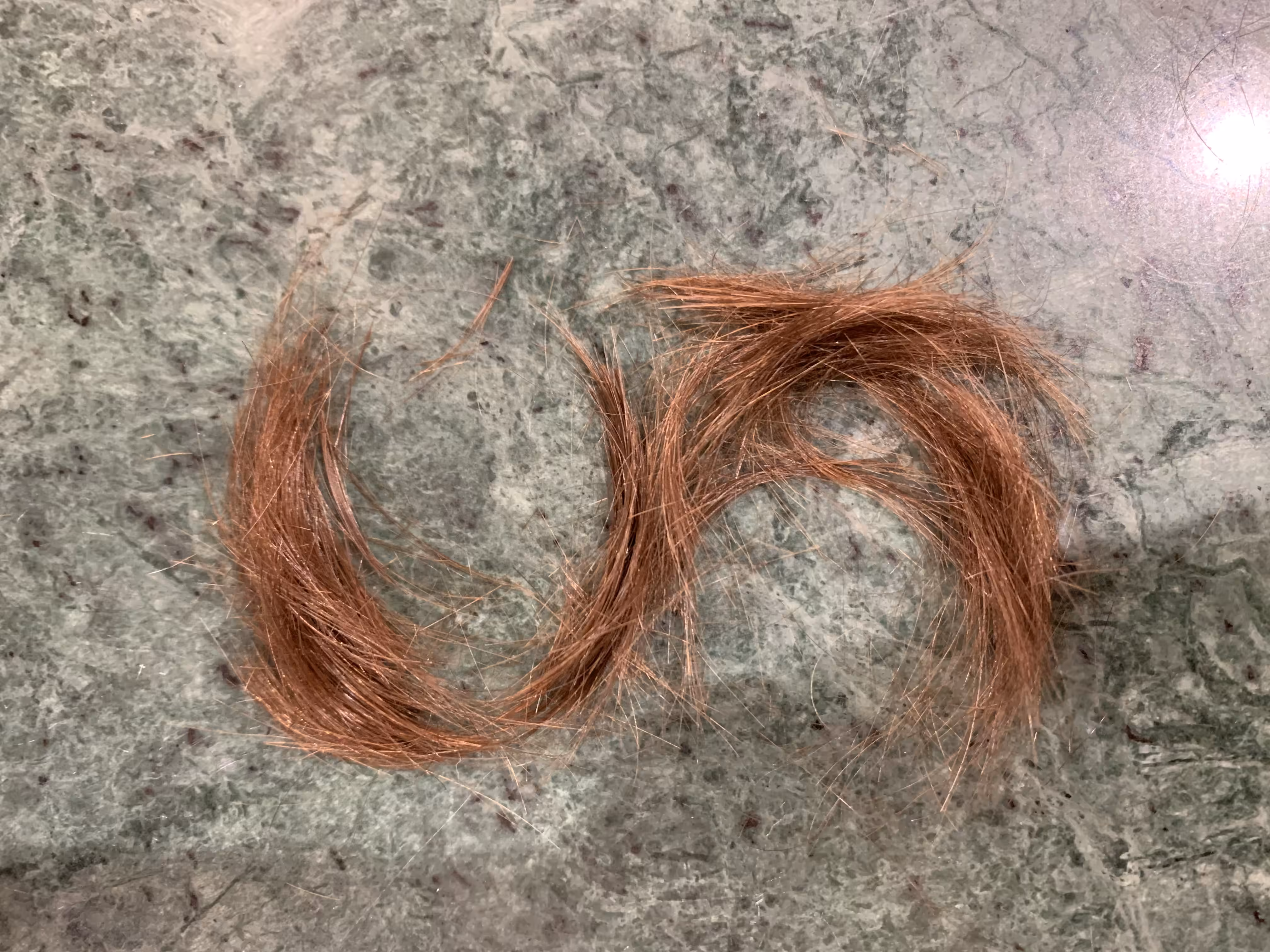 Aave Founder's Hair