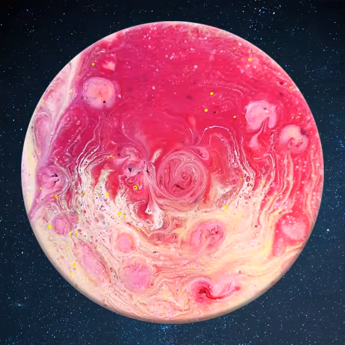 melting rose