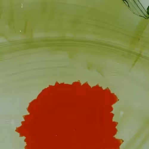 Melonin