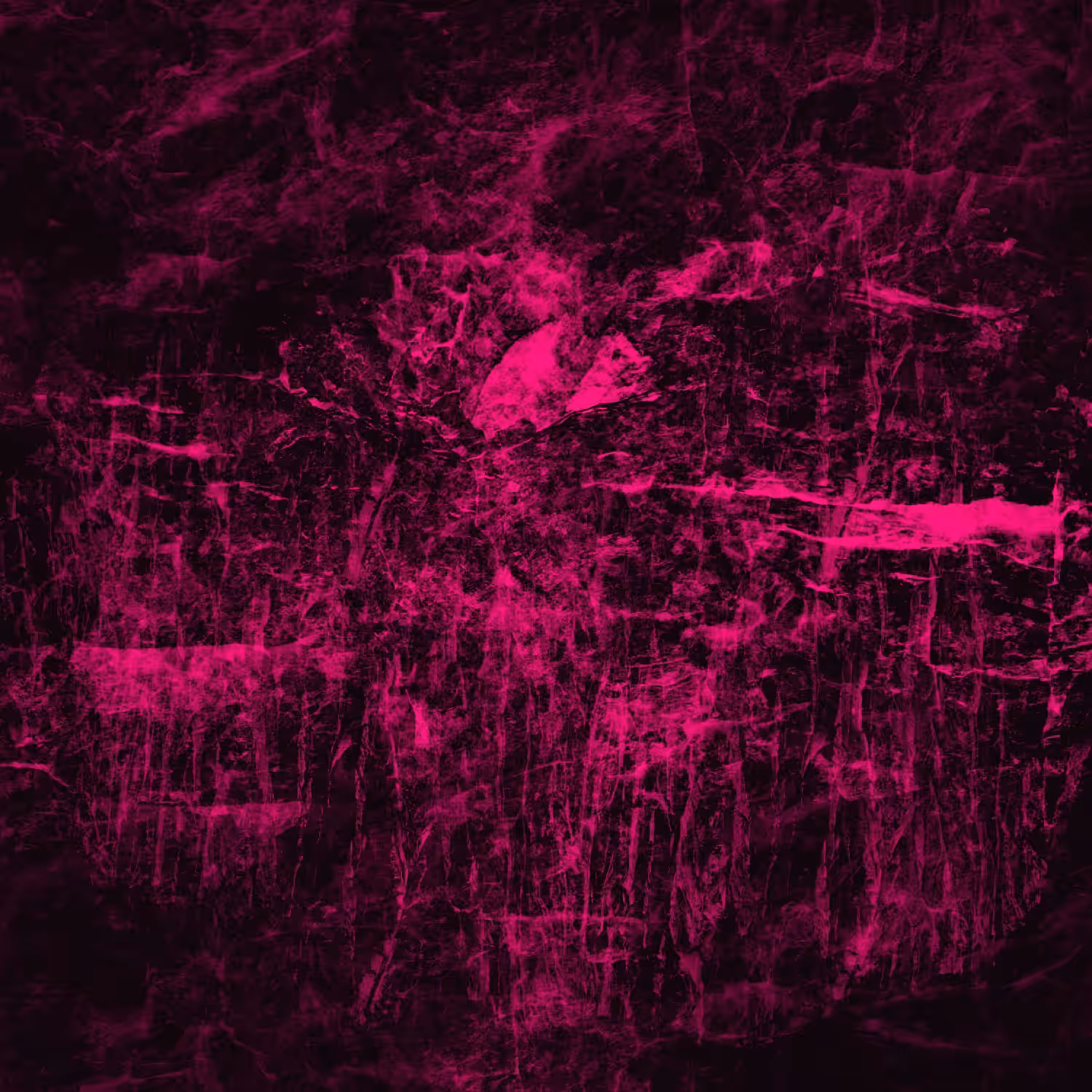 Organic Abstract Collection 