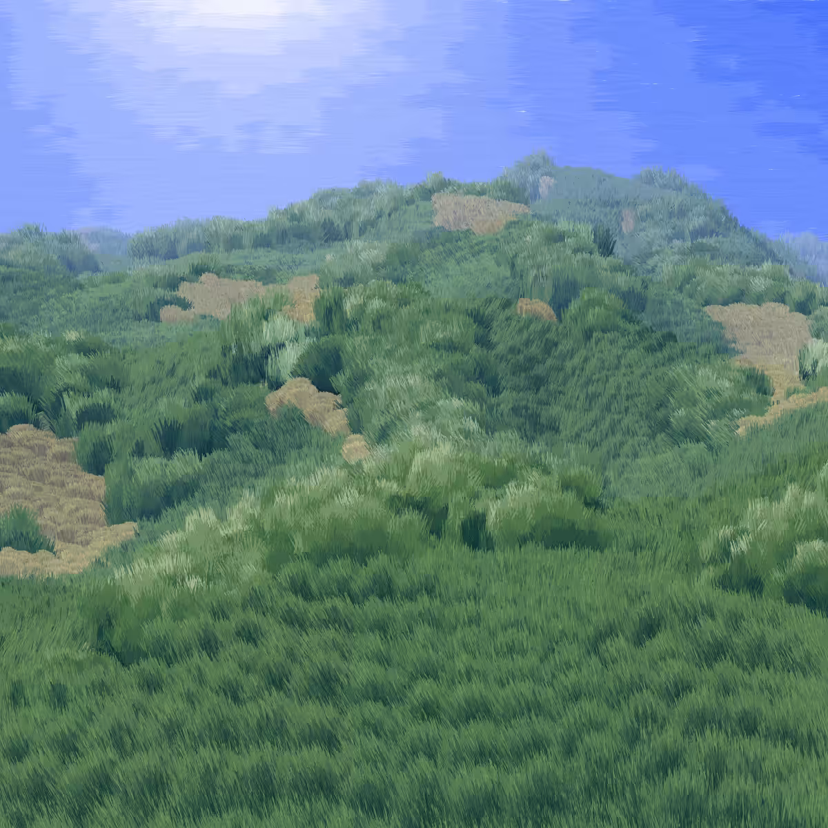Provence #66