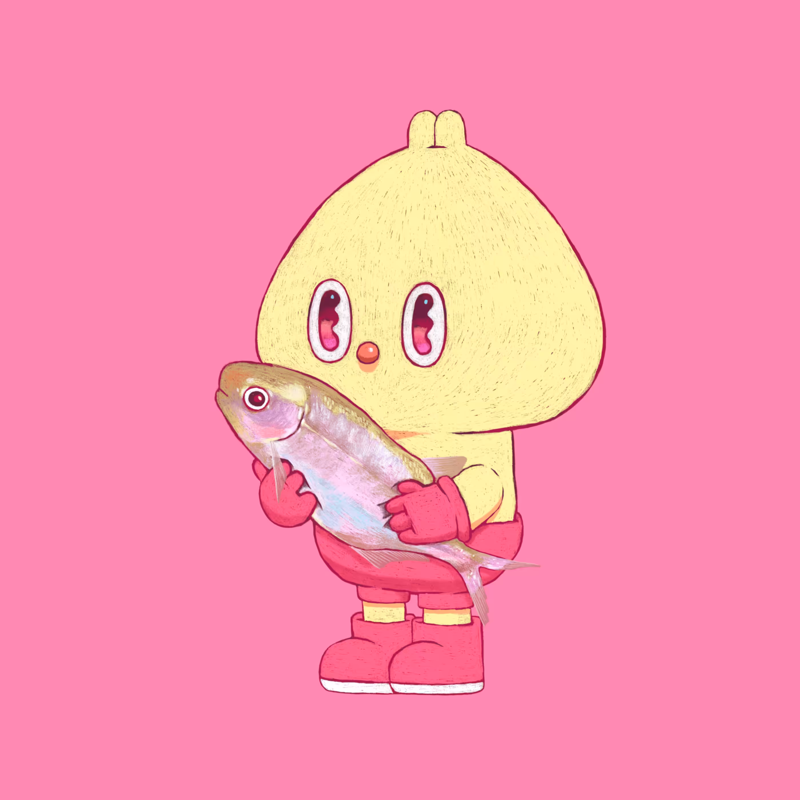 GOTCHA#23 (BRIENOMYRUS BRACHYISTIUS)