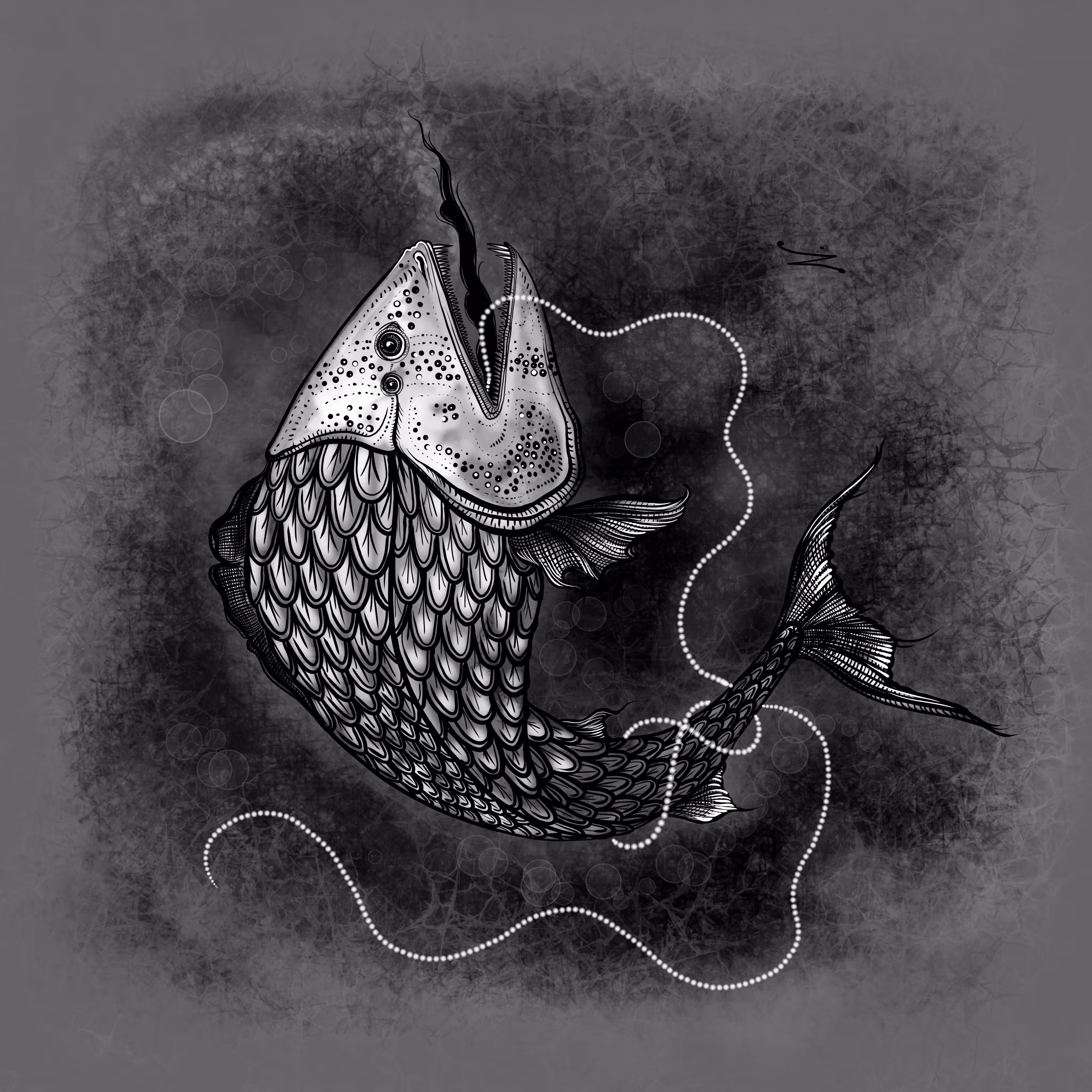 fresh water swallowfish