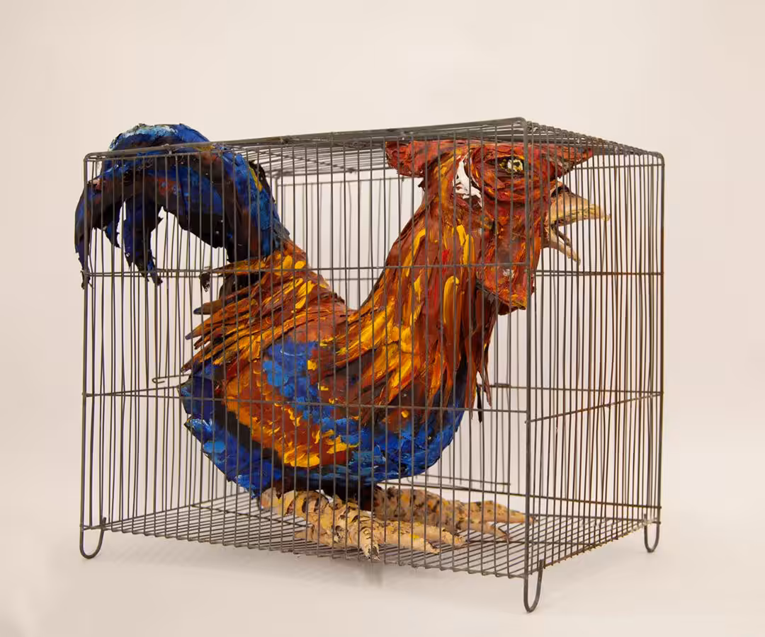 DEMON MONARCH: Pigeon head 