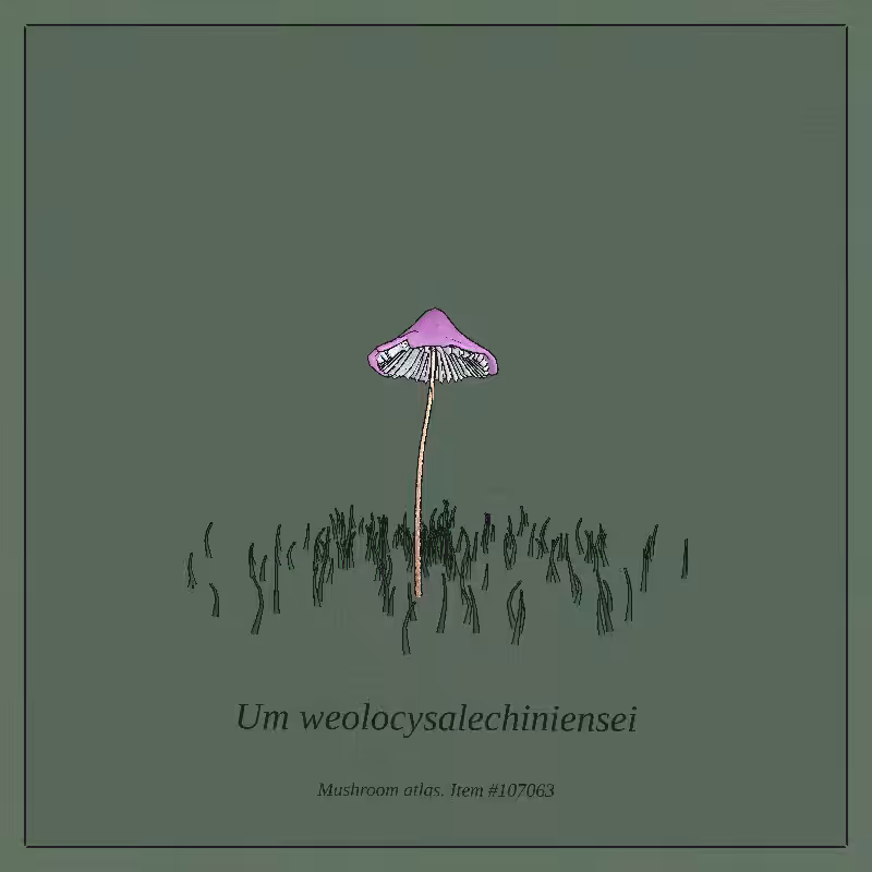 Mushroom Atlas #50