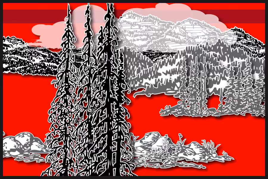 Wild Paper Road #14