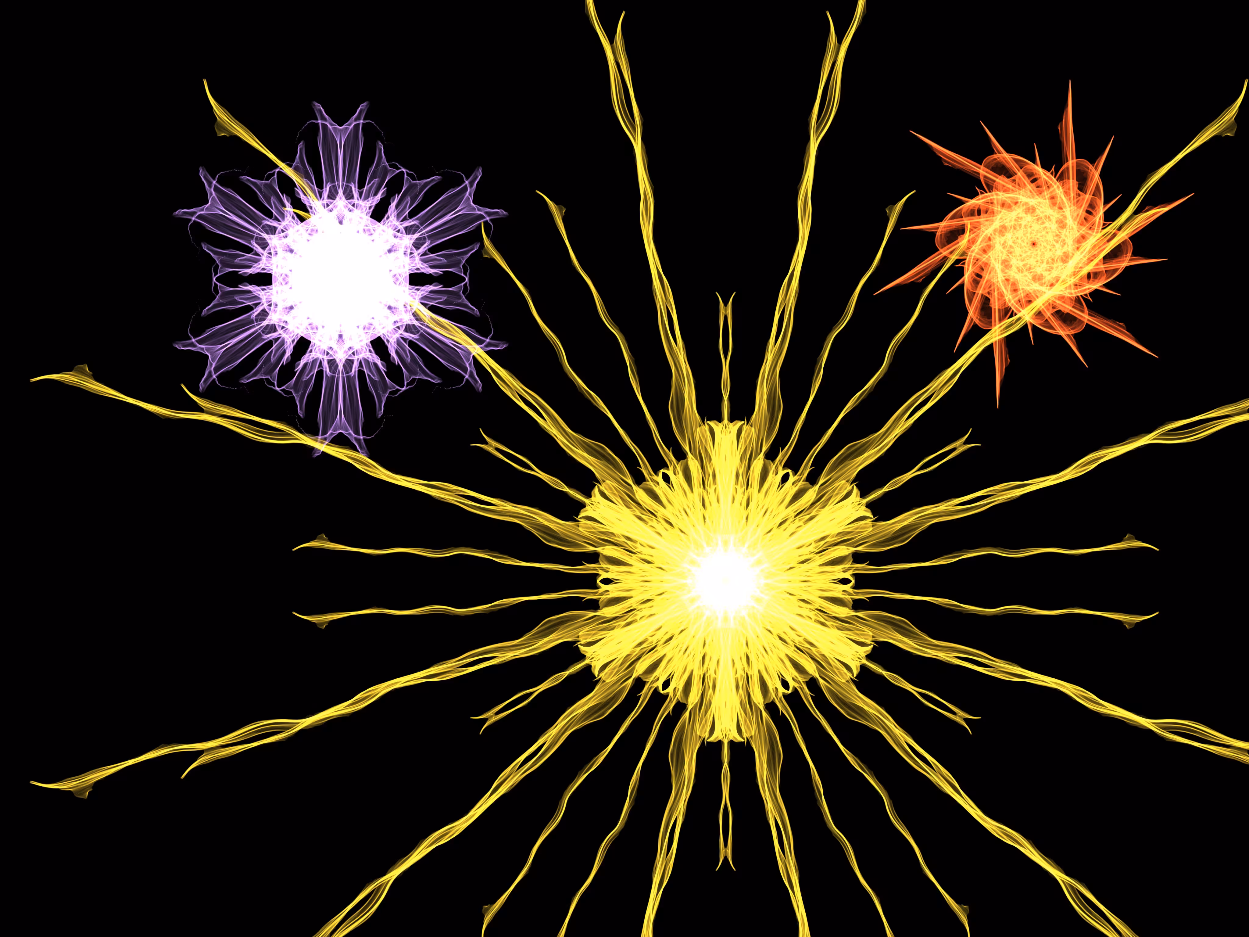 Star #31
