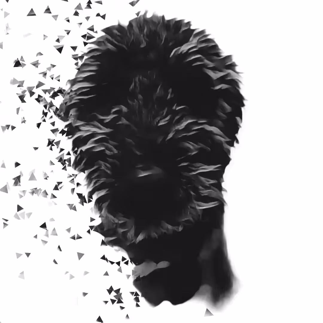 Dog Portrait