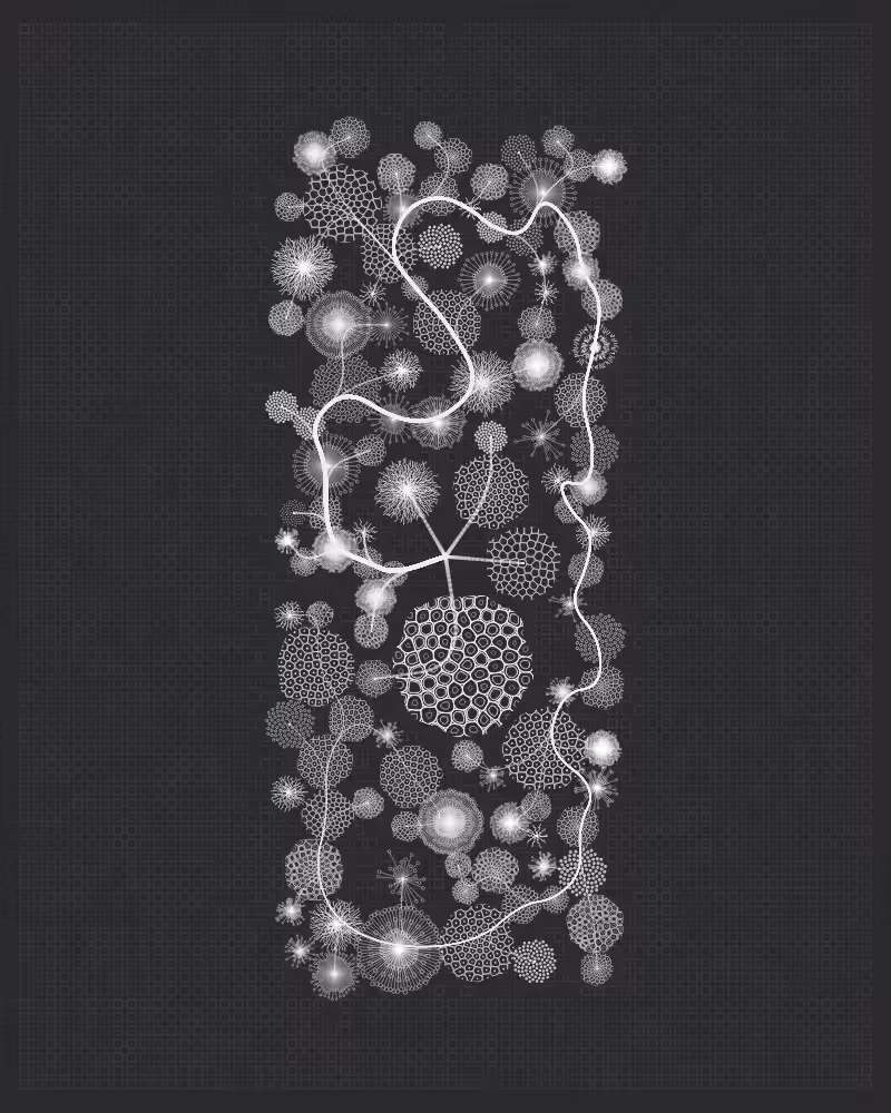 Florilegium #113