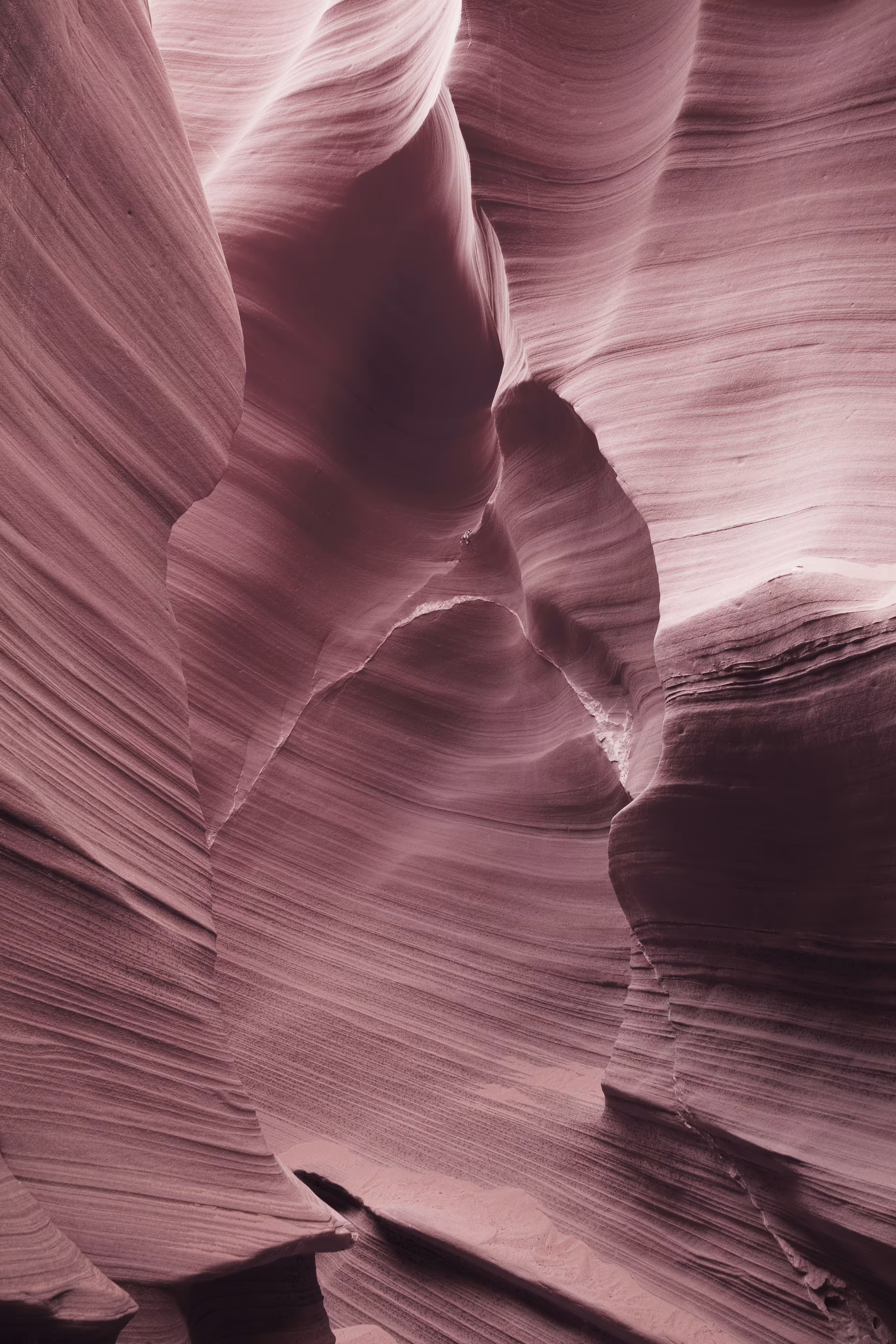 Rattlesnake Canyon