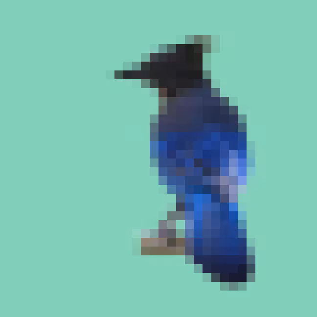 PixlBird #009