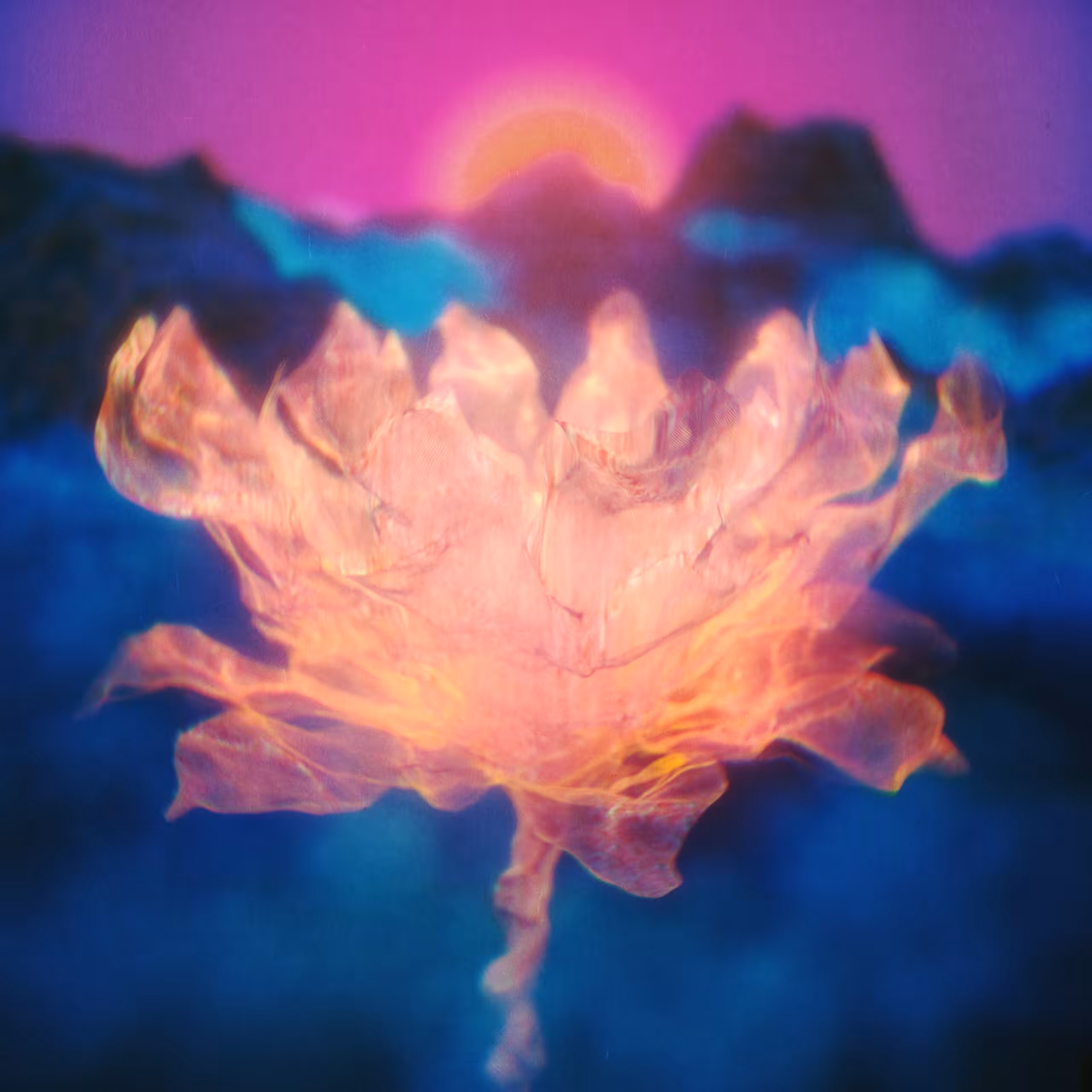 Flower ♾ Peace 