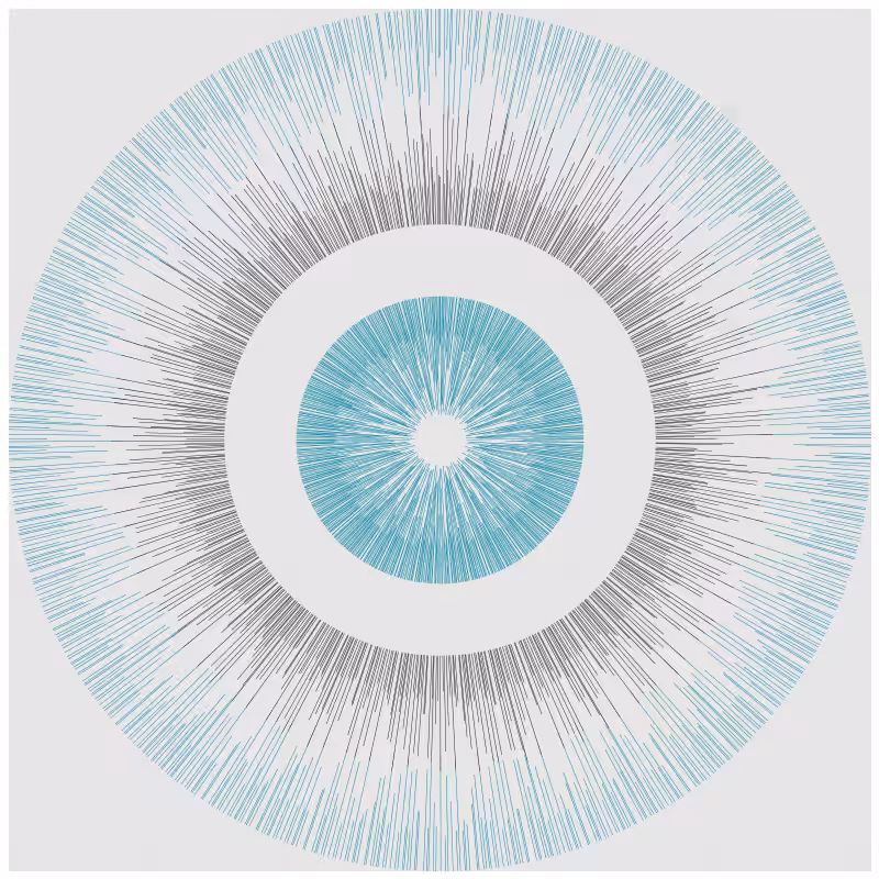 Circular Flow #44