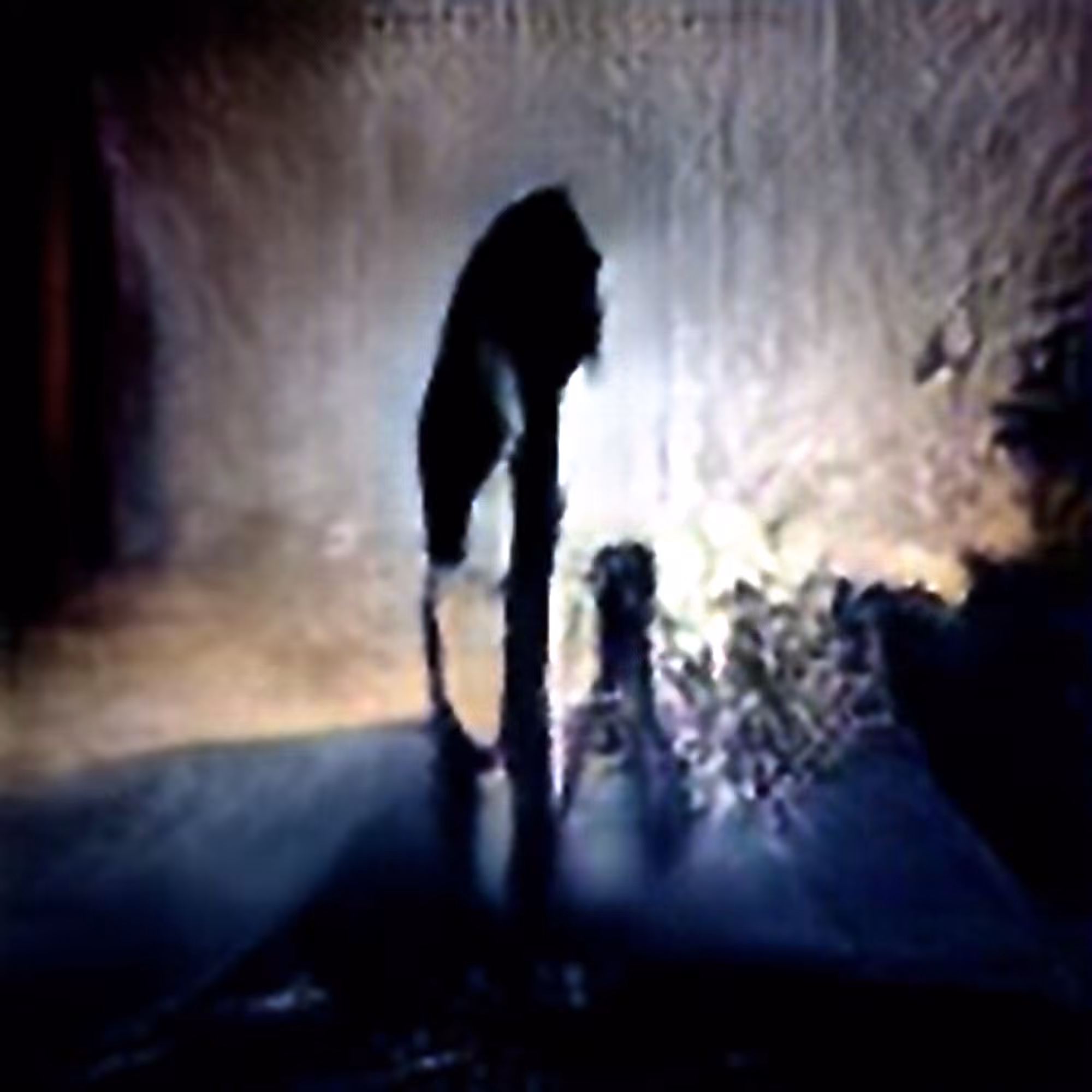 Shadow #11 (Corpus: Things That Exist Negatively)