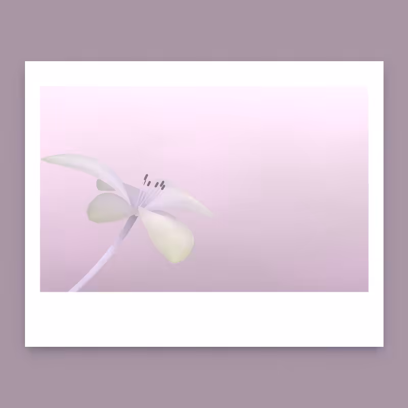 Ode to Summer #16