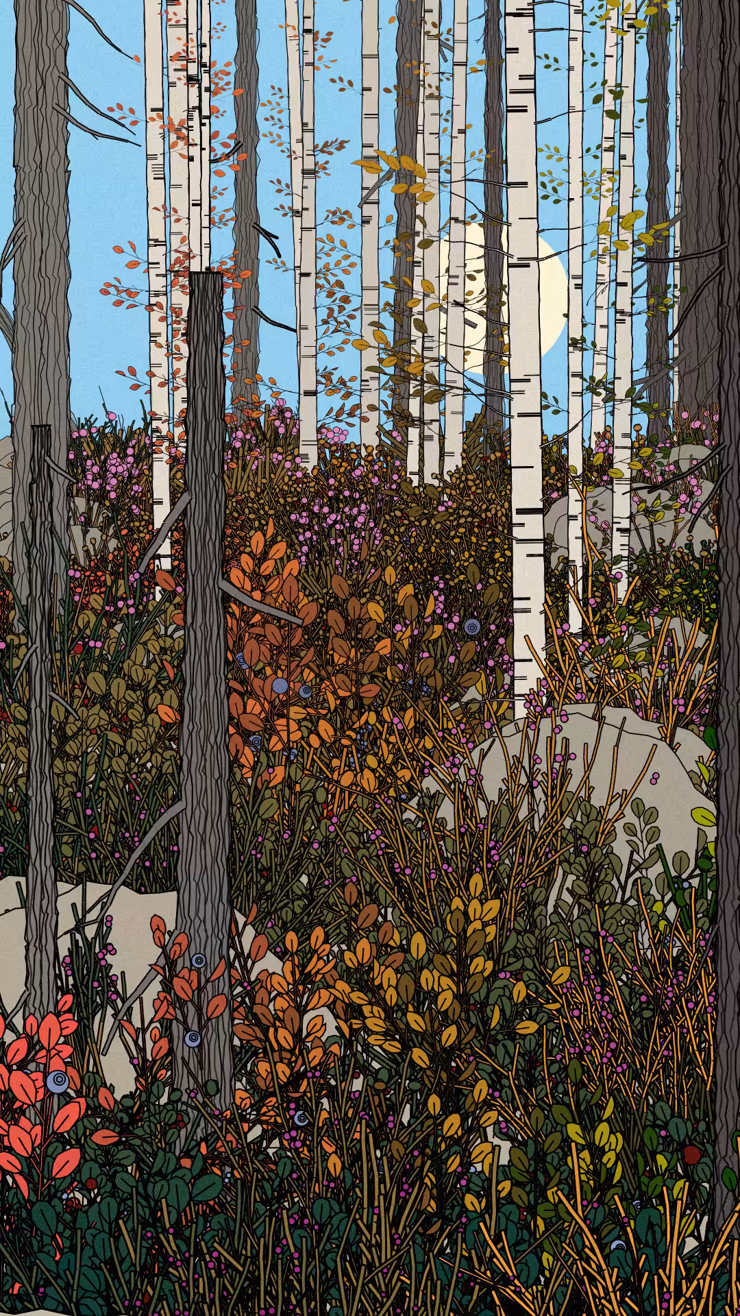 Swedish Forest #188