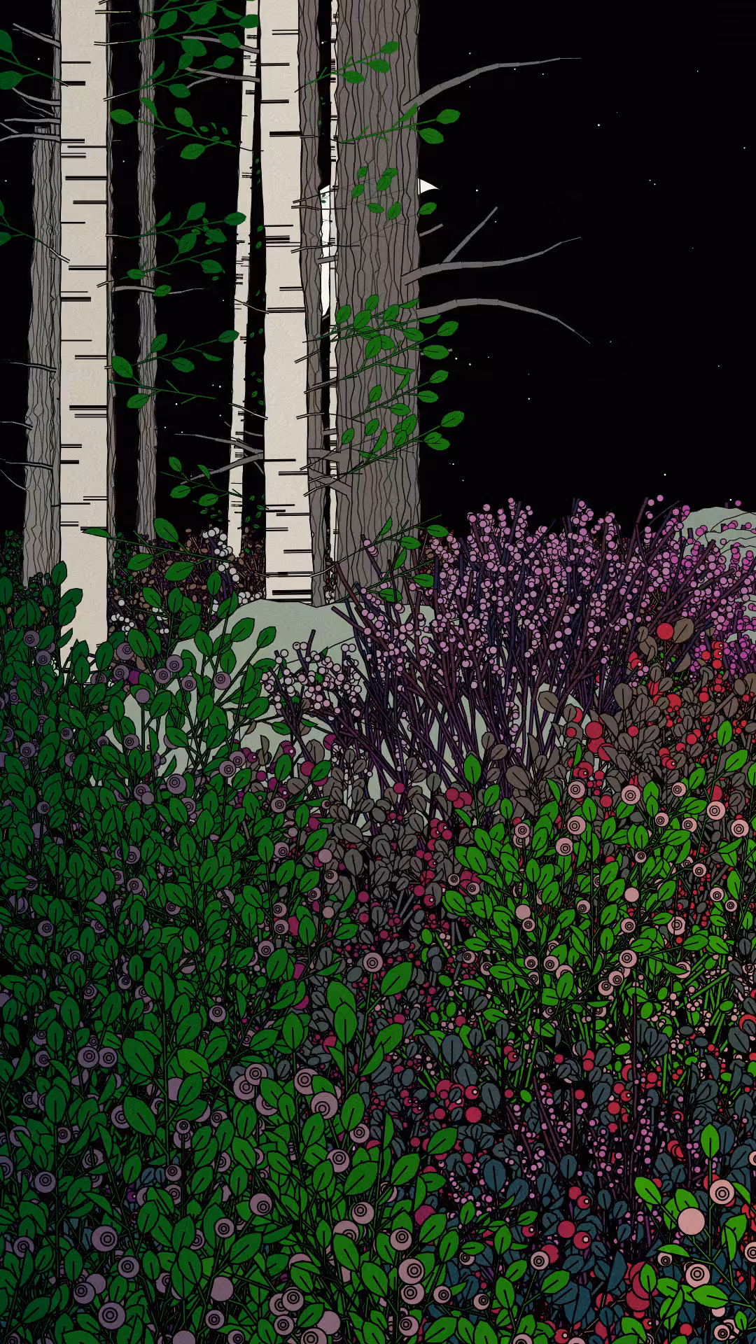 Swedish Forest #36