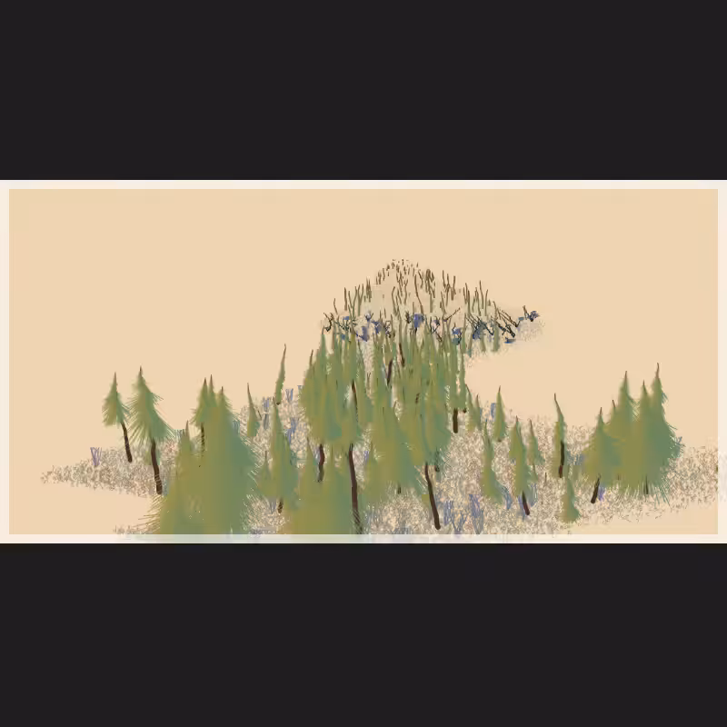 Flat Valley #8