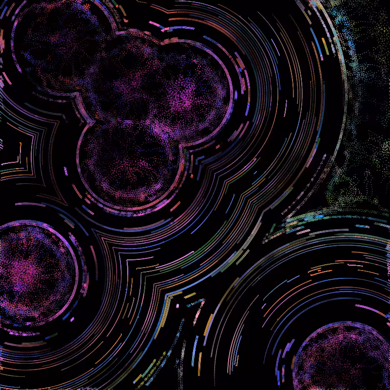 cells in vector fields #29