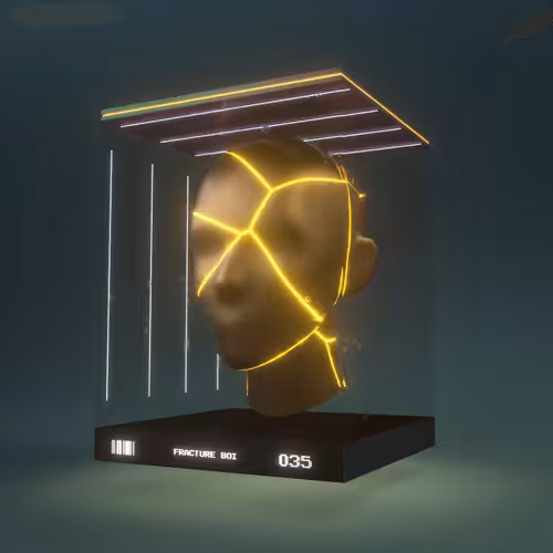 Fracture Boi: FRACTURE BOI - 035