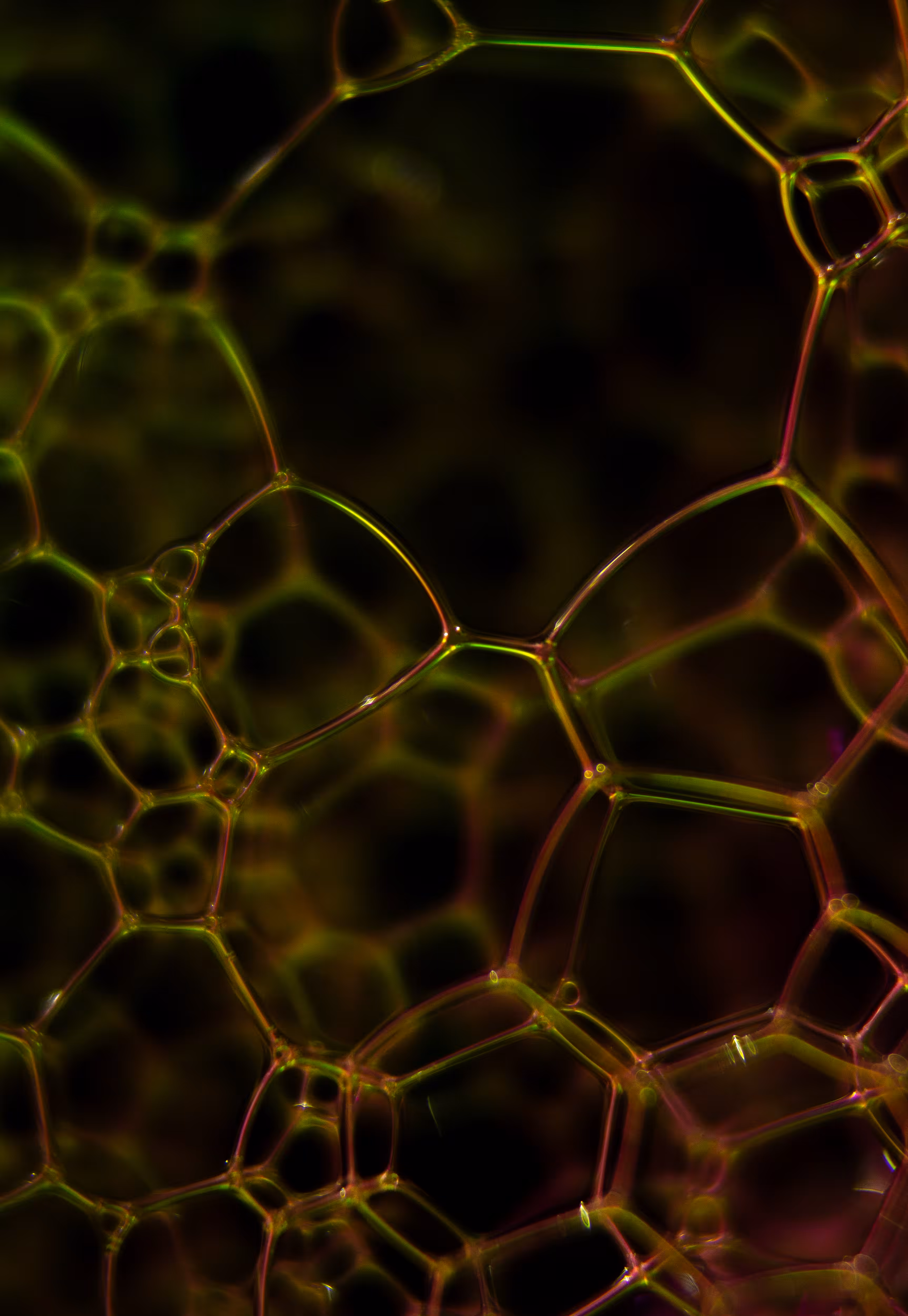 Abstract World of Soap Bubbles: #155 Bubbles