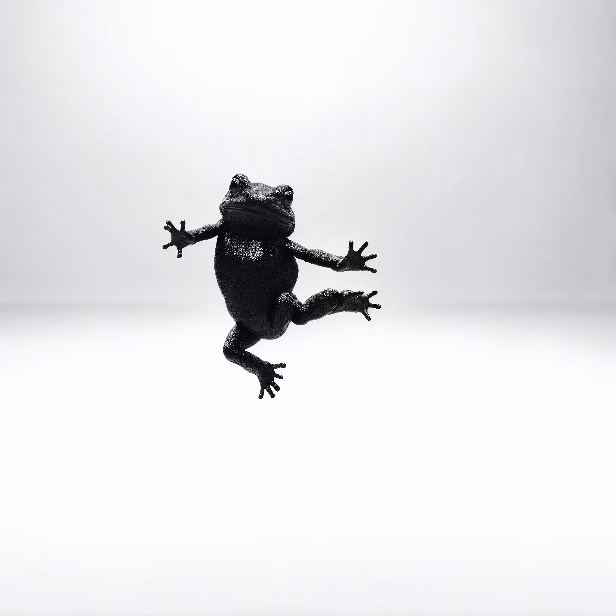 Rodeo posts: Bèfè The Frog