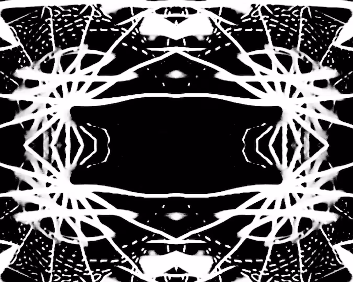 Video Feedback Studies