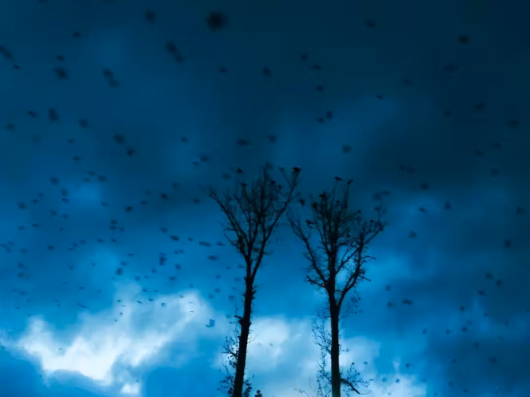Ominous evening
