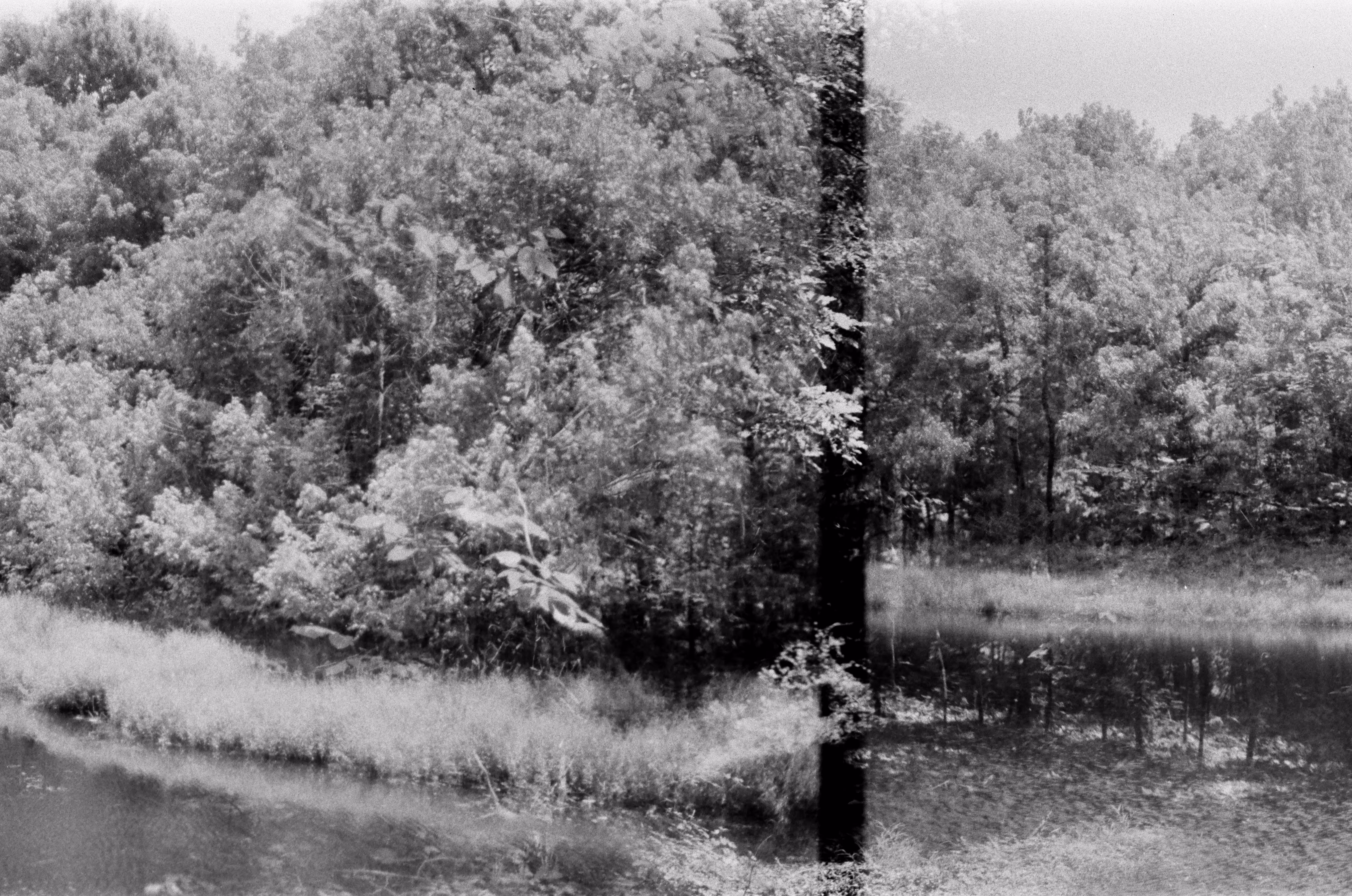 Inland