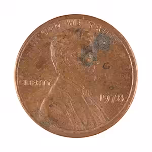 CENTS #8237
