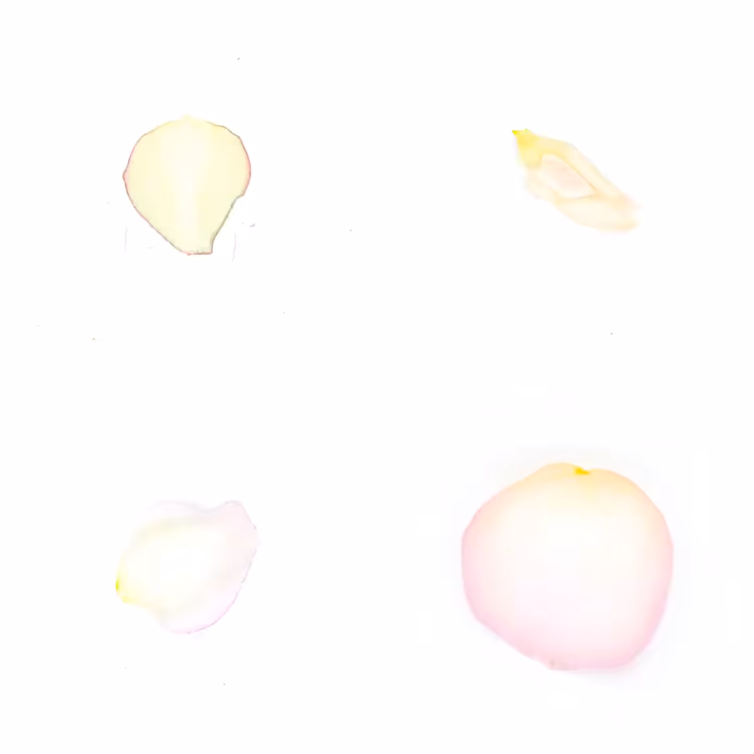 Infinite Petals 2x2#3498