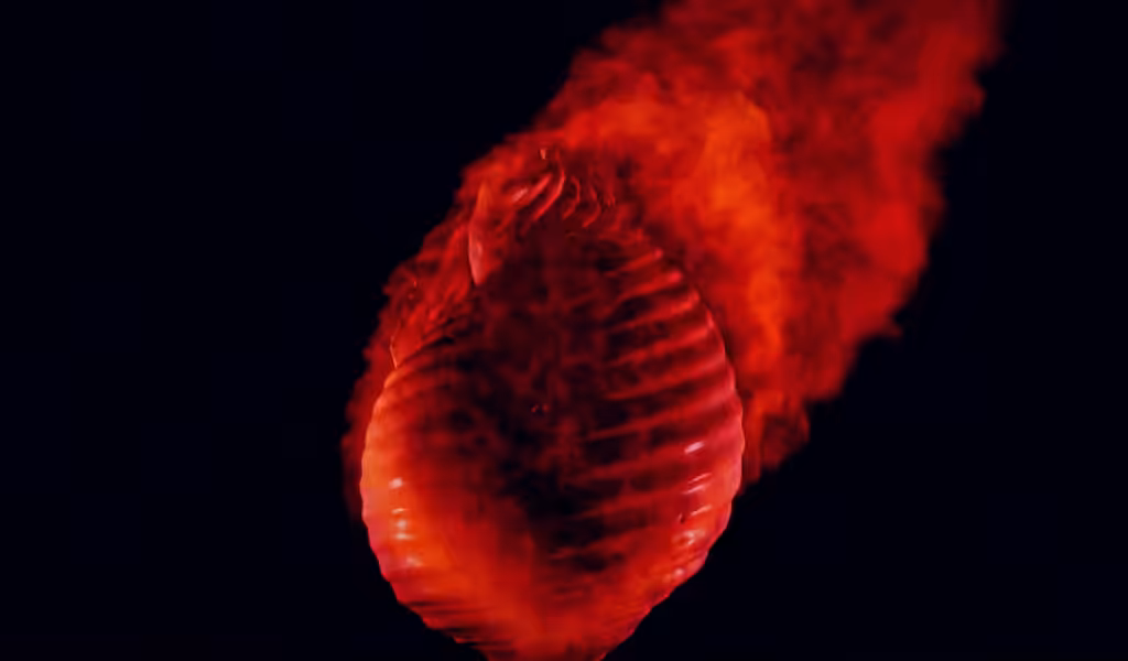 𝑳𝒂𝒔𝒕 𝑨𝒅𝒐𝒓𝒂𝒕𝒊𝒐𝒏𝒔 Nº01