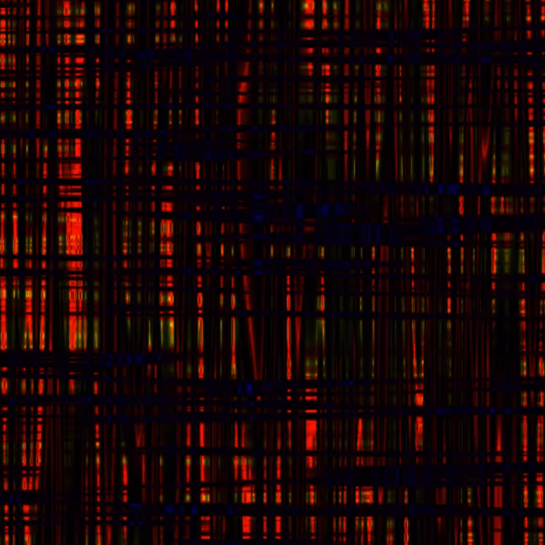 Weft 02