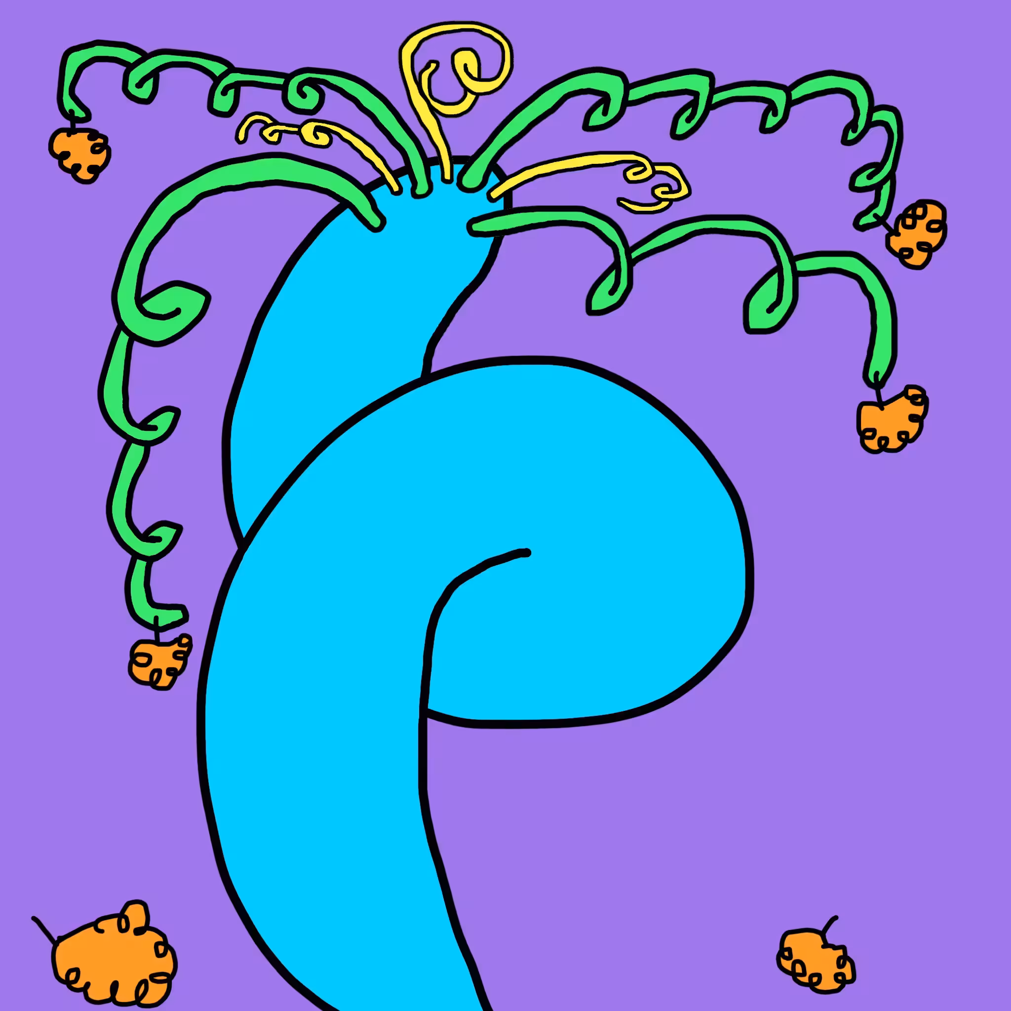 Koki Koki Tree
