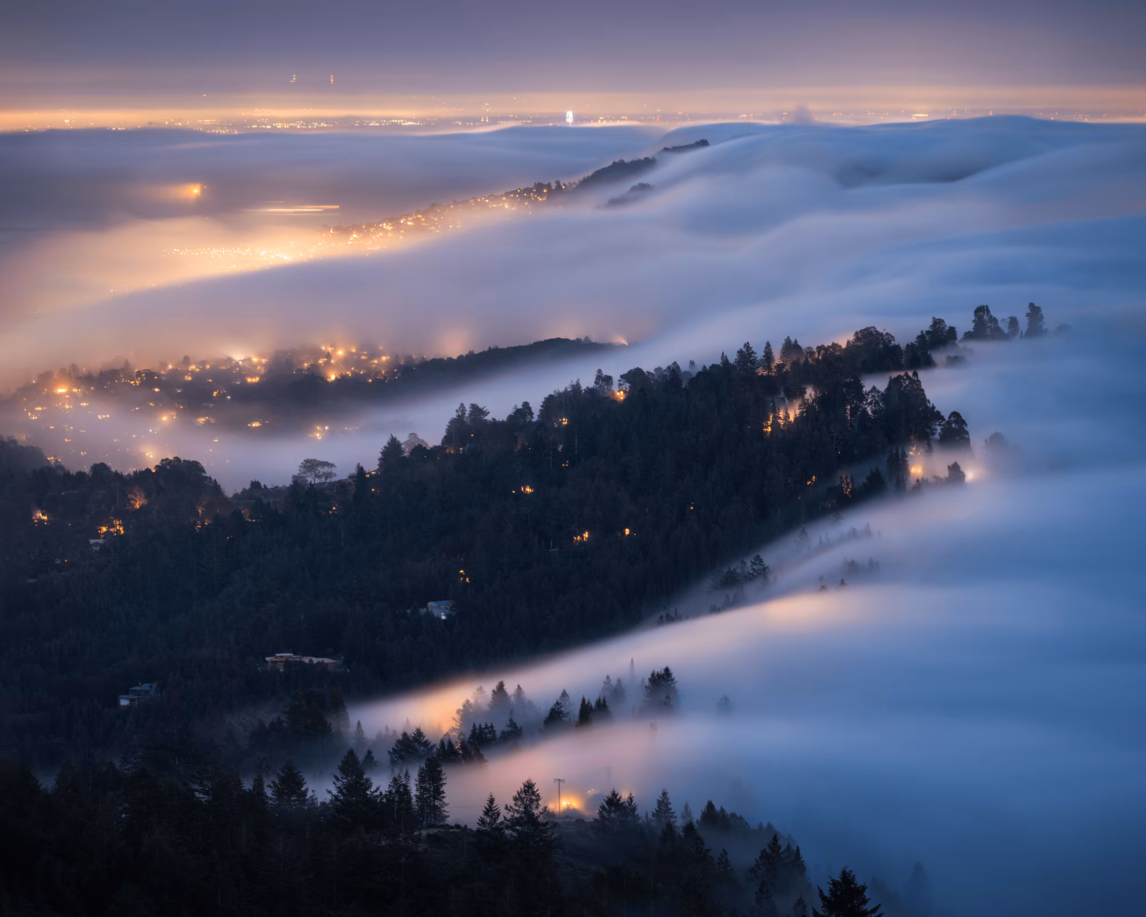 A Symphony of Fog #14