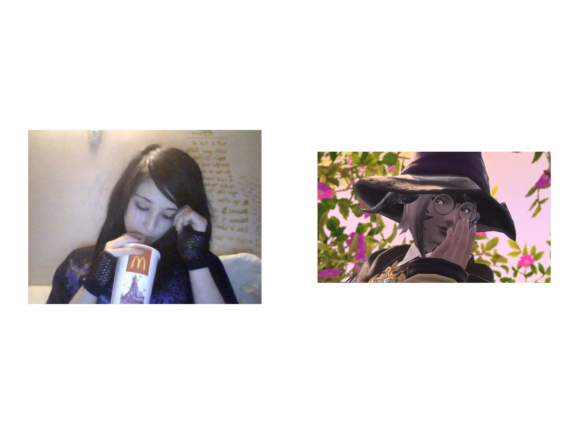 Rodeo posts: two images 1/29/25