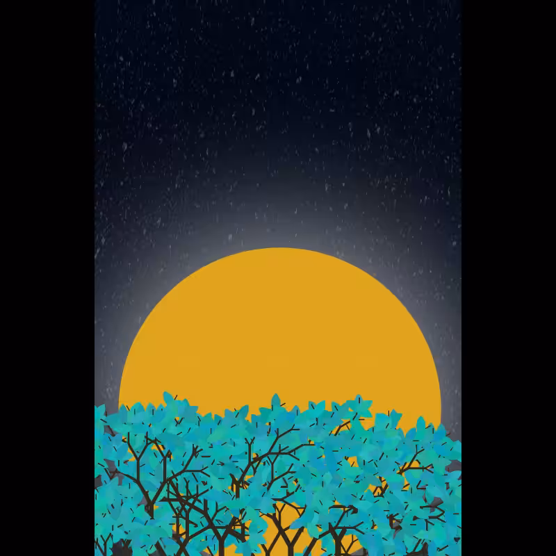 Moonlight Sonata #29