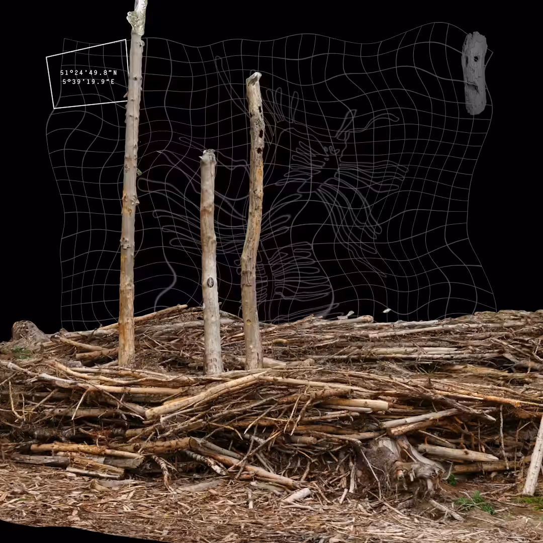 Infographic: The_Plot / Three Trees, the letter P, & The Face of Solastalgia