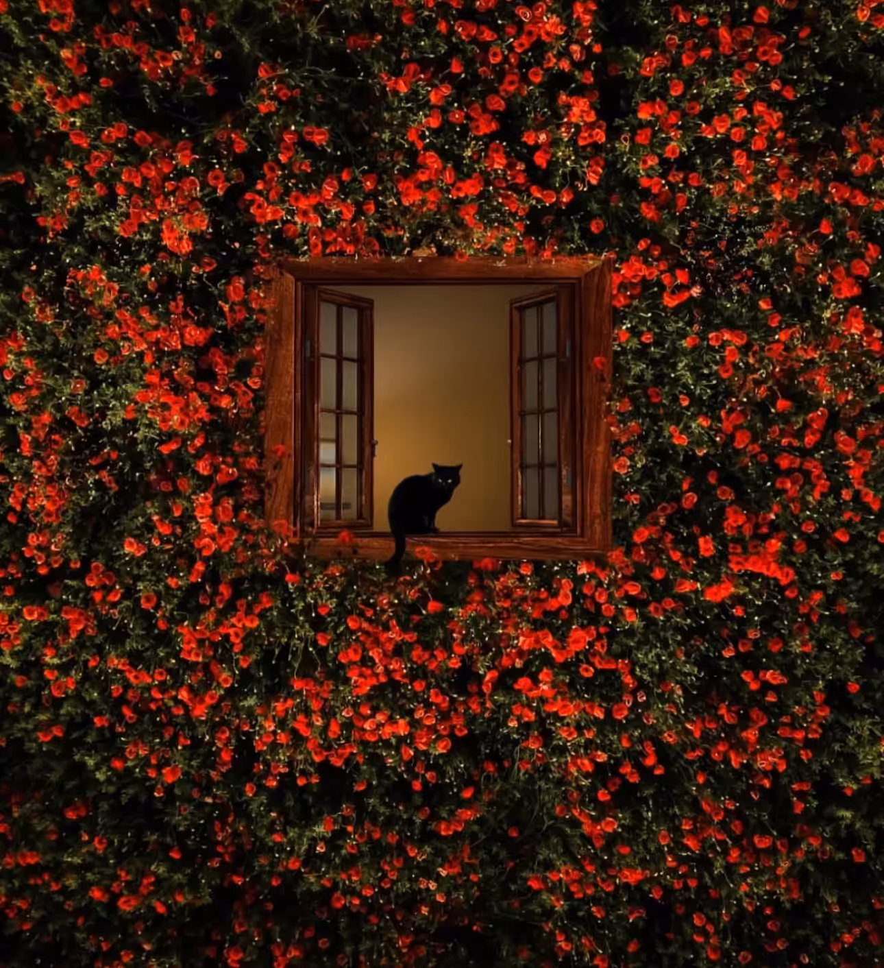 Silent Observer