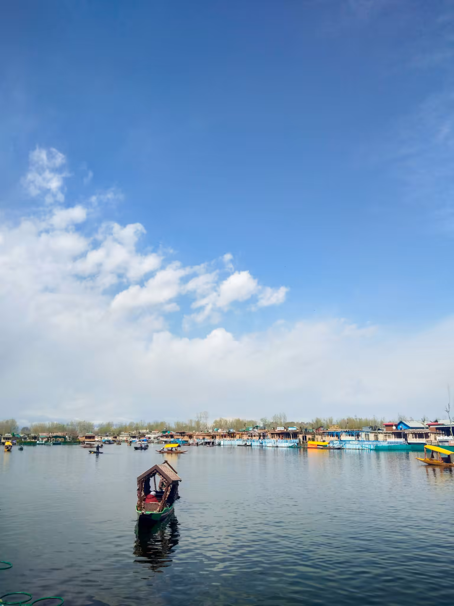 クモ 〇〇八、Dal Lake 2019
